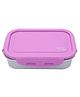 JAYPEE PLUS Stainless Steel Lunch Box Buddysteel Purple , 500 ml , Suitable for school, offices and picnics ,Microwave Safe