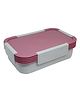 Jaypee Plus Plastic & Stainless Steel Taurus Lunch Box Taurus 2 Container 900 ml, Pink