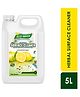 Gokhale Surface Cleaner (Lime) Green  5000 ml