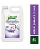 Gokhale Surface Cleaner (Floral) Purple- 5000 ml