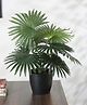Arick Decor Artificial Palm Plant with Basic Black Pot - Green