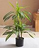 Arick Decor Artificial Dracaena Plant for Home Decor/Office Decor/Gifting | with Basic Black Pot (90 cm, Green)