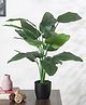Arick Decor Artificial Green Banana Plant With Pot