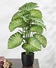Arick Decor Beautiful Artificial PVC Dieffenbachia Silk Plant with Big Leaves and With Pot