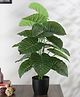 Arick Decor Beautiful Artificial PVC Rubber Silk Plant with Big Leaves and With Pot