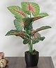 Arick Decor Beautiful Artificial PVC Silk Plant with Big Leaves and With Pot