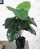 Arick Decor Beautiful Artificial PVC Rubber Silk Plant with Big Leaves and With Pot