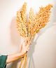 Arte Casa Corn Bunch