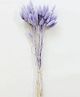Arte Casa Liliac Bunny Tails