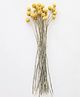 Arte Casa Billy Ball and Eucalpytus Bunch
