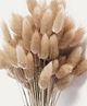 Arte Casa Imported Bunny Tails