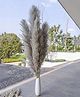 Arte Casa Imported Charcoal Pampas - XL