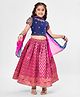 Babyhug Short Sleeves Floral Embroidered Pattu Pavada Lehenga Choli Set With Dupatta - Fuschia
