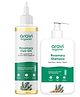 Aravi Organic Rosemary Lavender Hair Oil & Rosemary Shampoo For Healthy Hair Growth & Hair Fall Control (Pack Of 2)