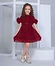 Peppermint Half Sleeves Shimmer Detailed & Floral Applique Party Wear Dress - Maroon