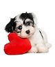 Wallstick Cute Dog with Heart wallstickers