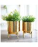 BEHOMA Metal Hammered Indoor Planter, Set Of 2, Gold, for Home Decor