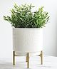 Behoma Hammered Metal Indoor Planter for Table Top and Floor, Small, White Colour