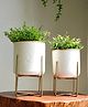 Behoma Metal Indoor Planter for Table Top and Floor, White Colour Set of 2, For Home decor