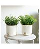 BEHOMA Metal Hammered Gold Rim Leaf Leg Planter, White, Set of 2, Decorative for Indoor, Outdoor, Balcony & Living Room