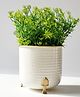 BEHOMA Metal Hammered Gold Rim Leaf Leg Planter, White, Decorative for Indoor, Outdoor, Balcony & Living Room