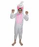 Kaku Fancy Dresses Rabbit  Animal Theme Costume Set - White & Pink