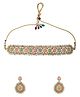 Yellow Chimes Jewellery Set for Women and Girls Beads Necklace Set for Women | Gold Tone Multicolor Beads Beaded Choker Necklace Set | Birthday Gift for girls and women Anniversary Gift for Wife