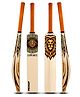 Willage Pratap Hybrid Plastic Cricket Bat HDPU Filled full size