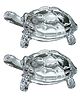 VOIDROP Feng Shui vastu Crystal Glass Turtle for Gift showpiece Decoration Good Luck Sign Statue Showpiece- Set of 2 (Off-White)