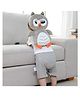 NeonateCare Head Protector Backpack Wear - Adjustable Baby Head Protector -  Safety Pad Backpack for 6-24 Months Baby Learning Walking Crawling (Grey Head Protector )