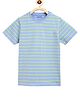 Campana 100% Cotton Jersey Half Sleeves Striped T-Shirt - Blue & Lime Green