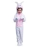 Itsmycostume Rabbit Theme Costume Set -  White
