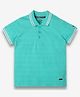 Ed-a-Mamma Half Sleeves Striped & Textured Polo Tee - Green