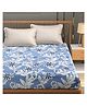 Florida Cotton King Size Bedsheet with 2 Pillow Covers for Double Bed, Soft Sheet