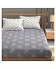 Florida Double Bed Cotton Bedsheet with King Size 2 Pillow Cover, 275 X 275 Cm