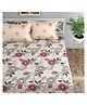 Florida 180 TC Cotton Bedsheet Double Bedsheet with 2 Pillow Covers (228 X 245 cm) - Peach