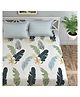 Florida Microfiber Fitted Bedsheet for Double Bed with 2 Pillow Covers - Leaf Printed, White