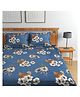 Florida 180 TC Cotton Bedsheet Double Bedsheet with 2 Pillow Covers (228 X 245 cm) - Blue