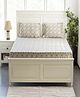 Pluchi Sports Lover - Soft Grey Cotton Knitted King Size Double Bed Fitted Sheet with 2 Pillow Covers Set