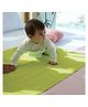 TIDY SLEEP Waterproof Baby Bed Protector Dry Sheet For New Born Babies- Olive (Large)