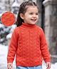 Babyoye 100% Cotton Knit Full Sleeves Turtle Neck Solid Pullover Sweater  - Rust Orange