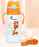 R for Rabbit Steebo Safari Premium Stainless Steel Water Sipper for Baby, Spill Proof BPA Free Soft Silicone Straw Drinking Sipper for Kids of 12+ Months (500ml, Orange Giffy)