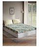 D Décor Double Bedsheet Al12-Mineral Green Green