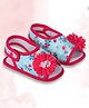 Coco Candy Floral Applique Detailed Velcro Closure Booties - Blue