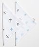 Aariro Organic Cotton Muslin Washcloth Dream Big  Set of 2