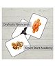 Dr Dad Early Learning and Educational Double Sided Flash Cards (24 Cards)