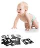 Dr Dad New Born High Contrast Flashcard (Pack of 16)
