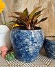 Niyara Combo Stylish Ceramic Pots for Indoor Plants - Blue Combo