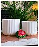 Niyara White line Design Stylish Large Ceramic Pots Combo Planters for Indoor Plants - Snow White Combo