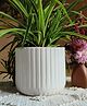 Niyara line Design Stylish Large Ceramic Pots Planters for Indoor Plants - Snow White